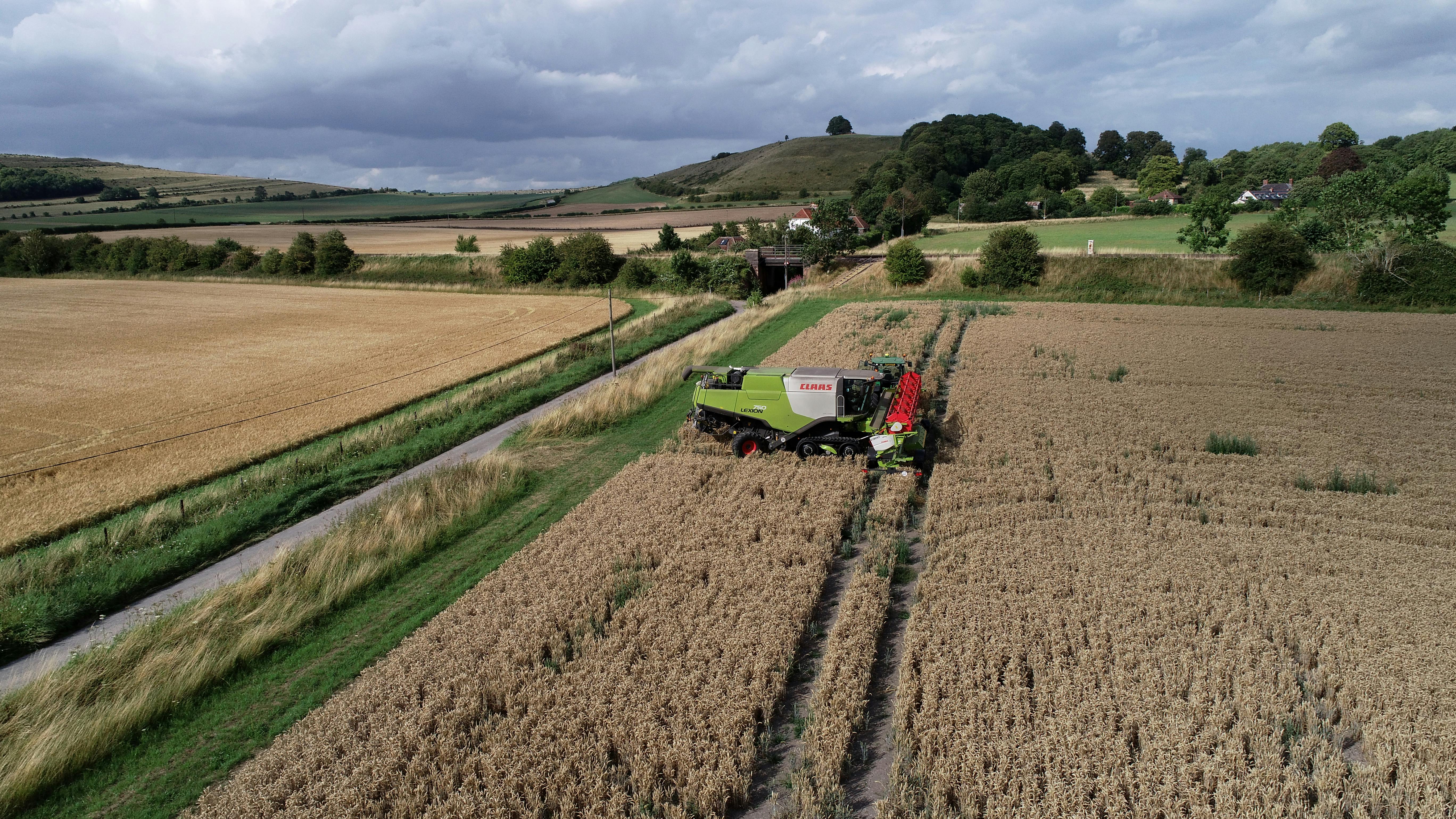 Trade logistics and infrastructure